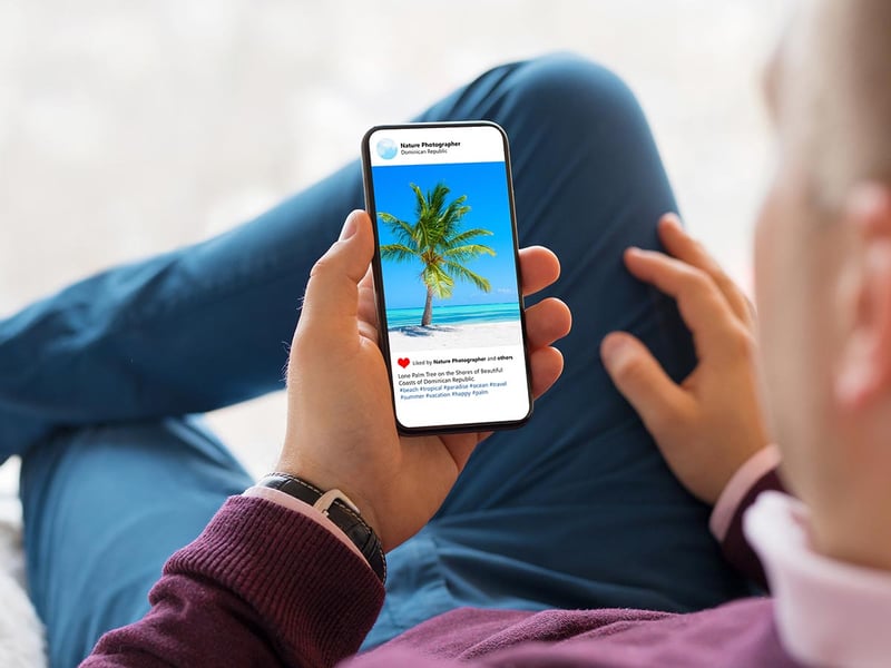 A man looking at a photo of a palm tree on a beach posted on social media